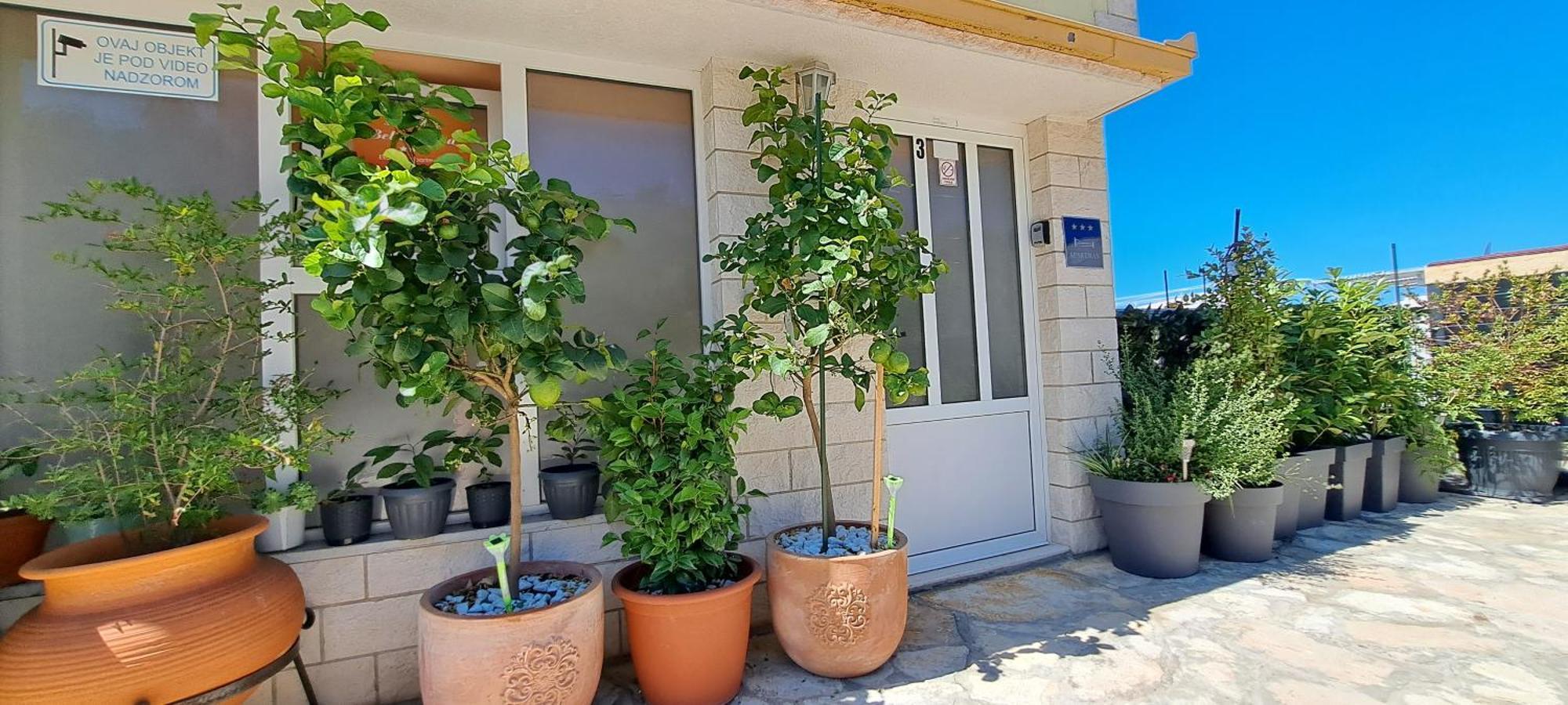 Apartments Villa Bella Vista Hvar Hvar Town Extérieur photo